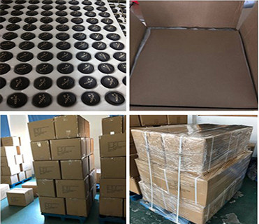 Customized 8g Clear Plastic Empty Loose Powder Case 32.8*68.4mm 0